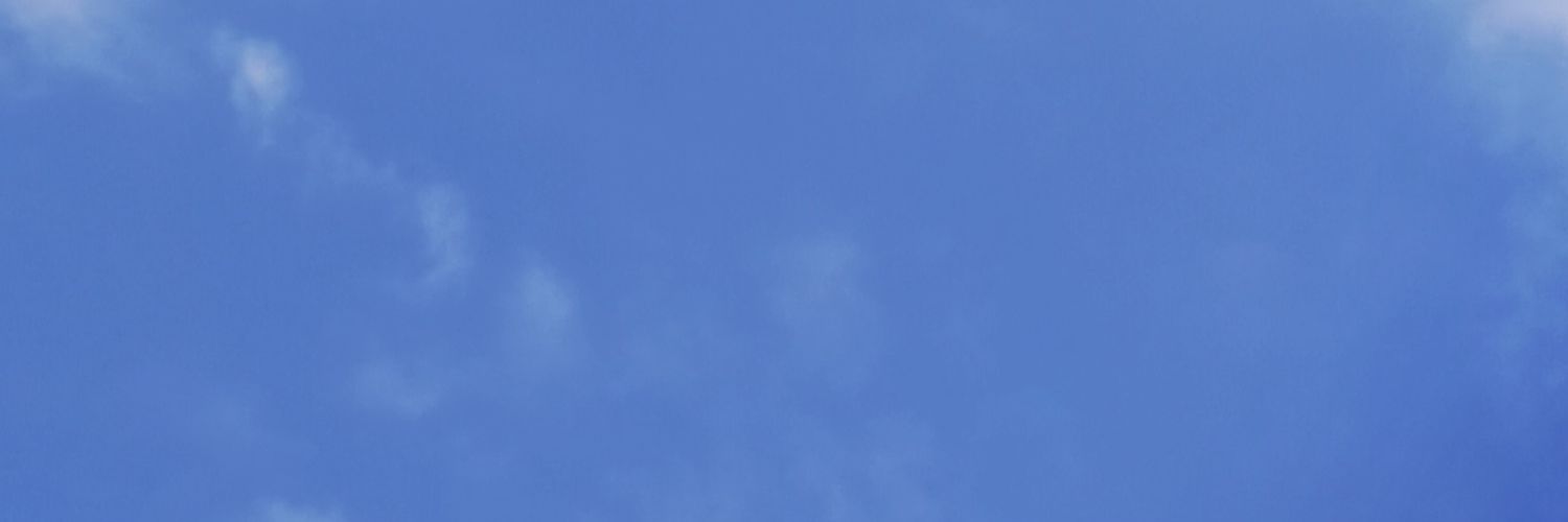 littlendyy's profile banner image