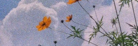 monafunani's profile banner image