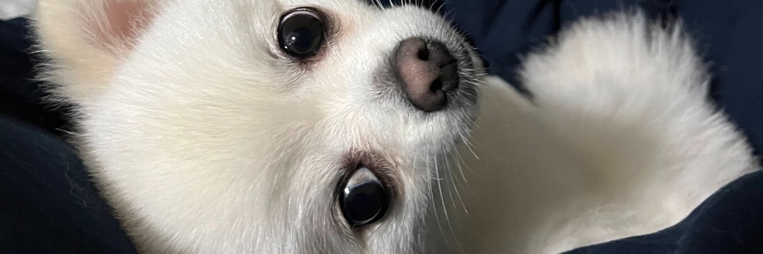 nannijoreidee's profile banner image