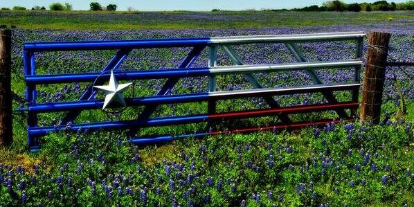 TxRushGirl banner