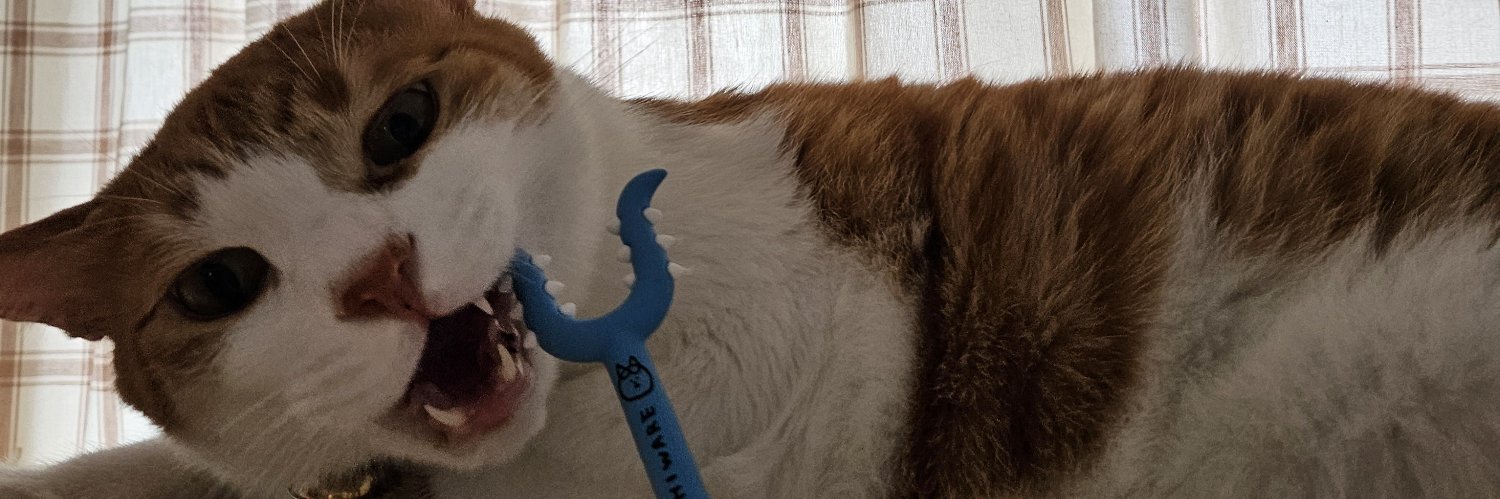 rungjiware's profile banner image