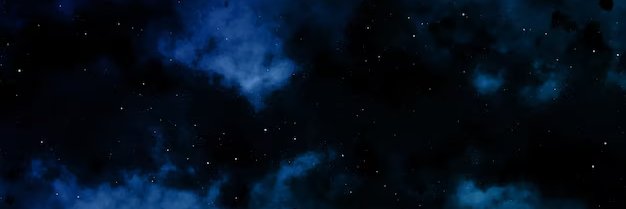 Cat Lover 126 banner