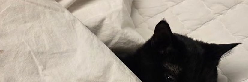 not pie ( late reply ) banner