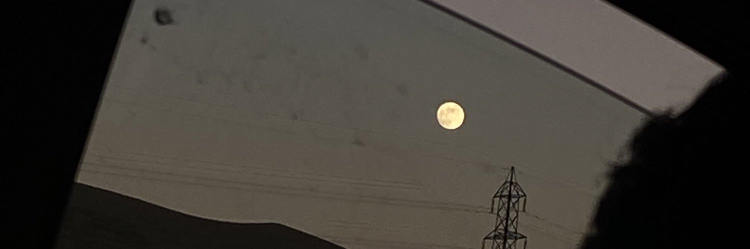 بامبی banner