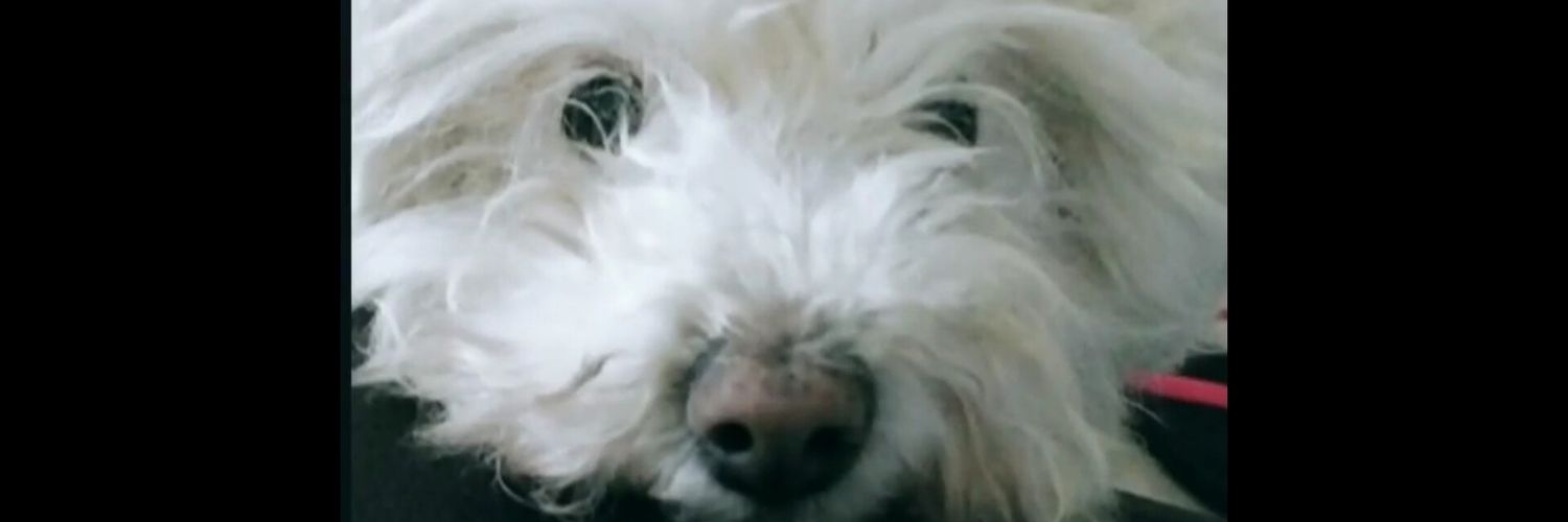 lorelug_'s profile banner image
