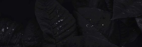 ArifFlowStylez's profile banner image