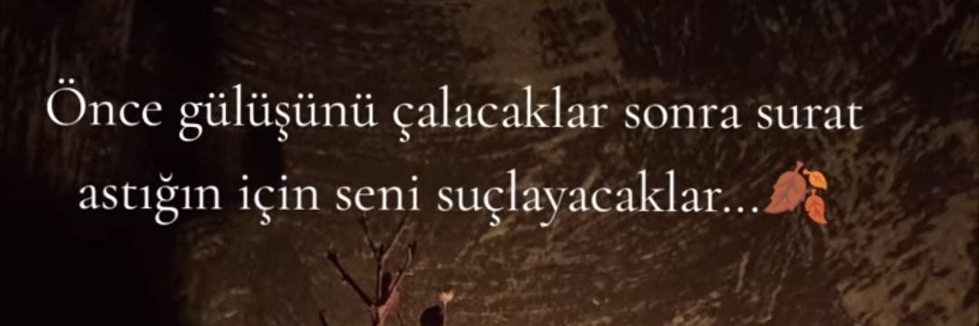 inanzorooglu's profile banner image