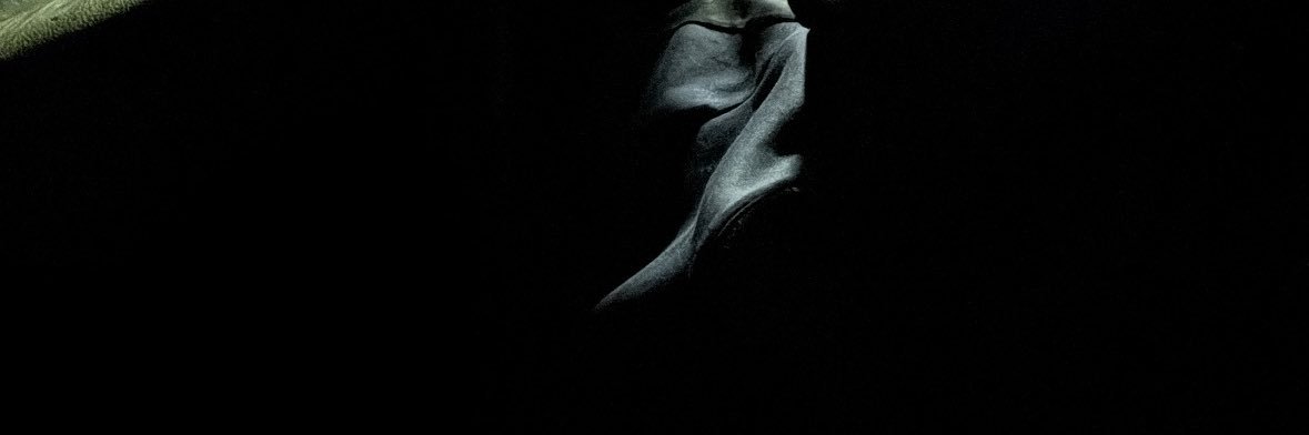 ひ banner