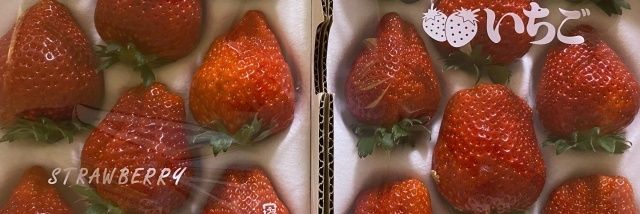 ムッチュ☆しろクマa.k.aしらりん banner