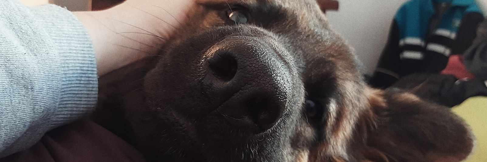 luucandelaria's profile banner image