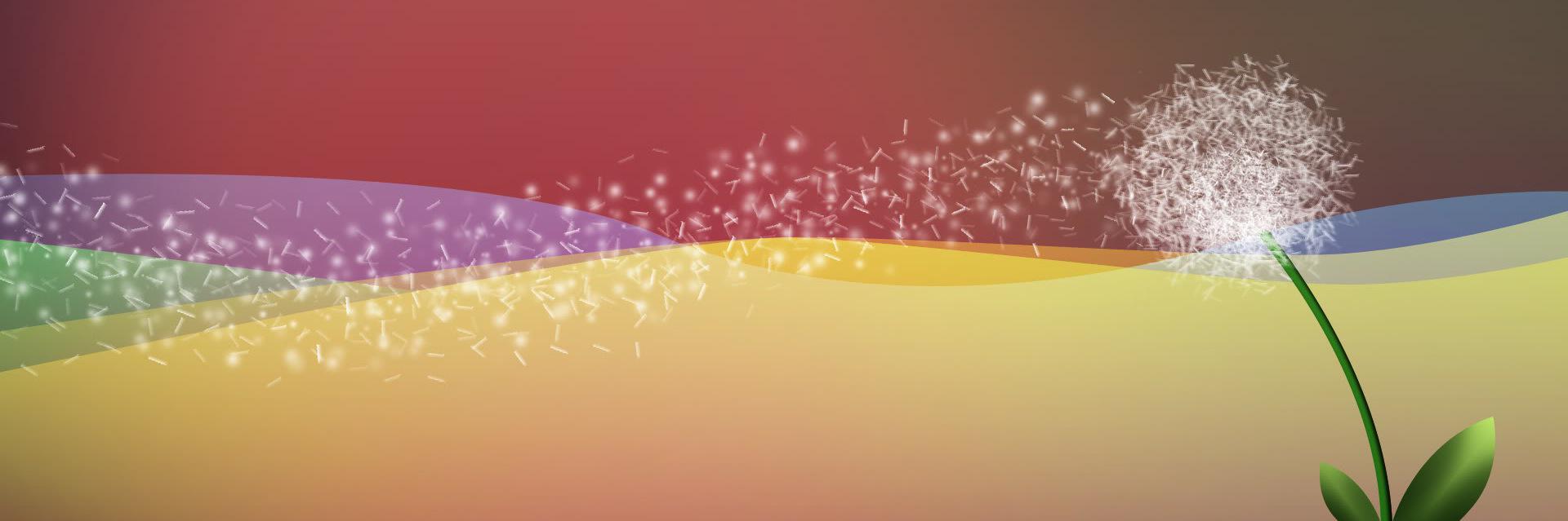 rwidakutbi's profile banner image