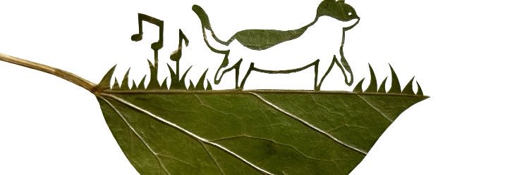 cloudnineJJ banner