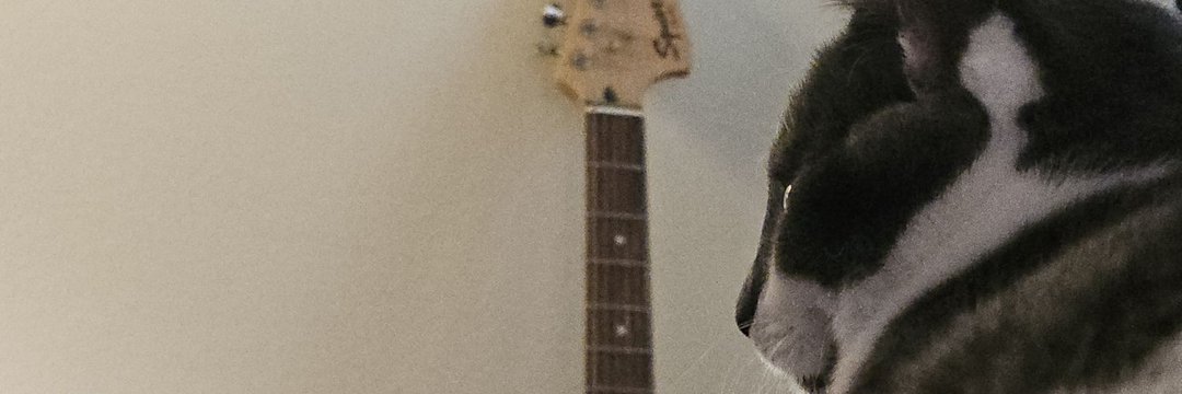 zibseiler's profile banner image