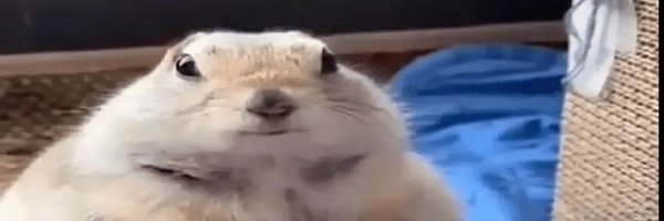 KrazyToonzXL Profile Banner