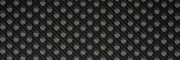 rcchampion Profile Banner