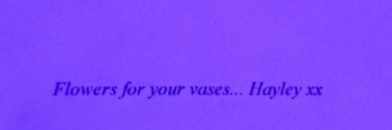 spooky natalie banner