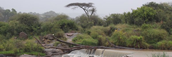 Samar__Syeda Profile Banner