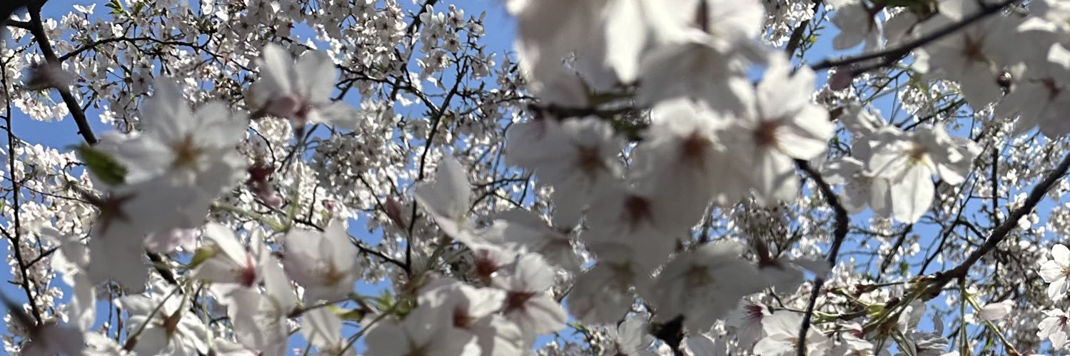 olinomesigasxfa's profile banner image