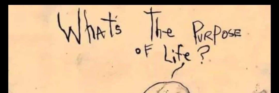 FrancisAsad's profile banner image