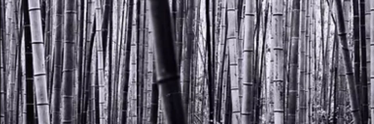 gocc0's profile banner image