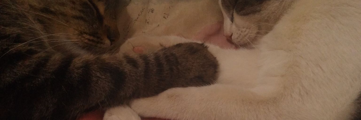 MRCDLRSSN's profile banner image