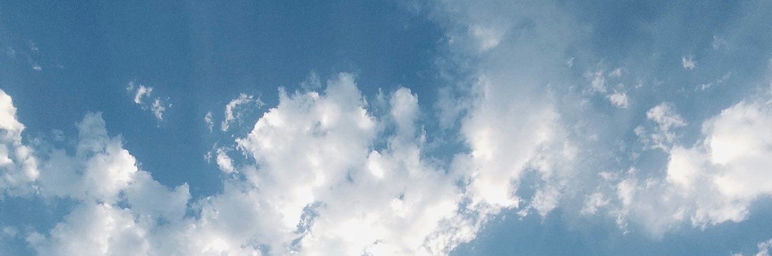 S banner