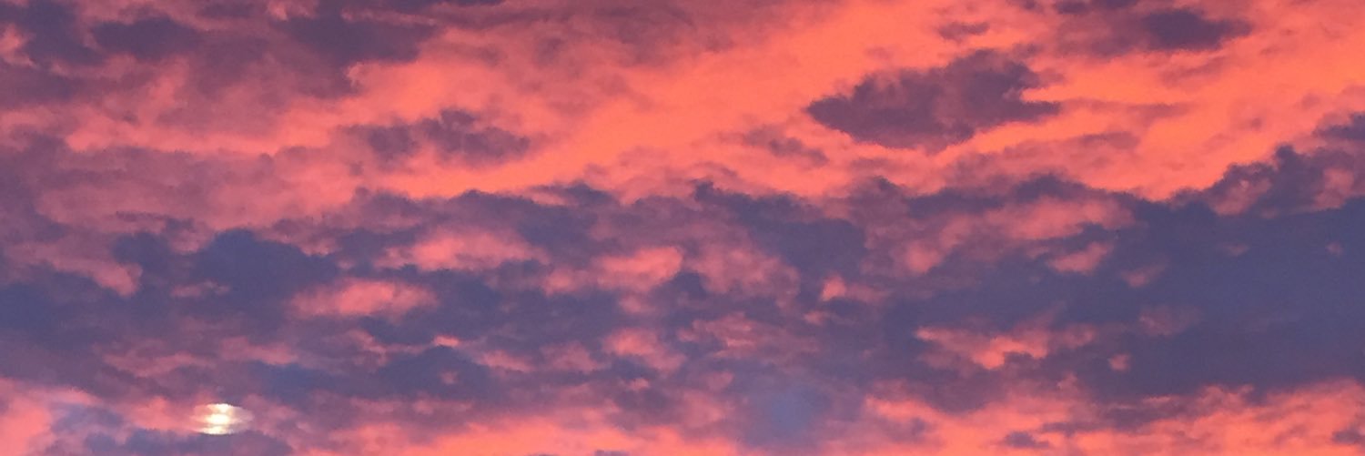 Denise Esterkyn banner