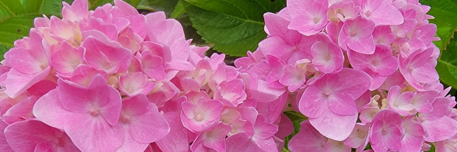 unkledikk666's profile banner image