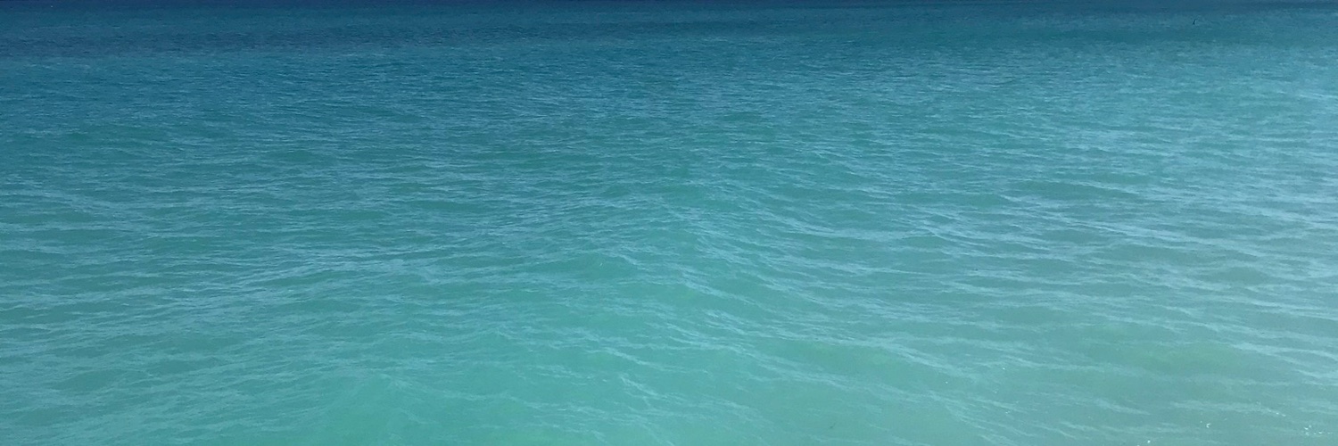 RedFish_Trish “Murphy” banner