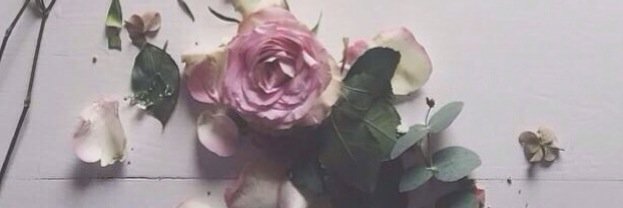 Reuoof55's profile banner image