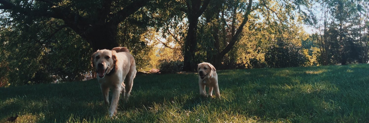 _juliacraig's profile banner image