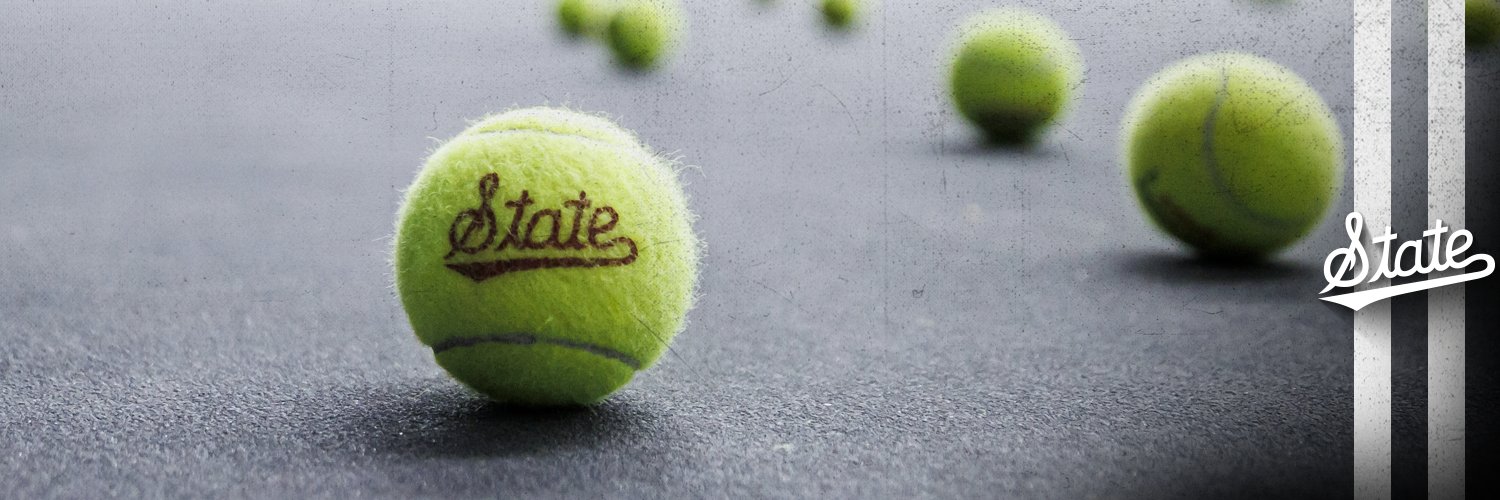 HailStateWT's profile banner image