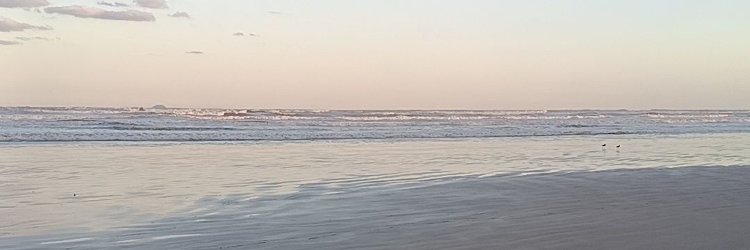 Fran10reis's profile banner image