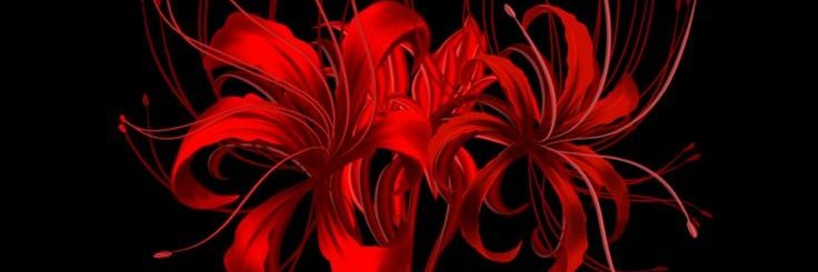 nizerdark banner