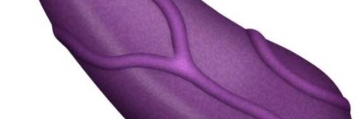boivanity's profile banner image