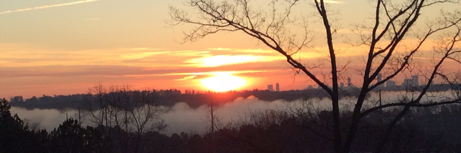 Matthew Miller banner