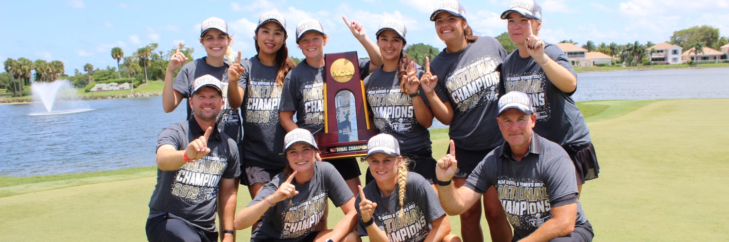 Chris Saltmarsh banner