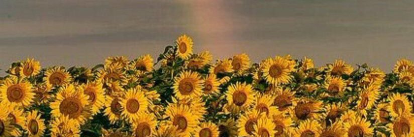 katrianebrenae's profile banner image