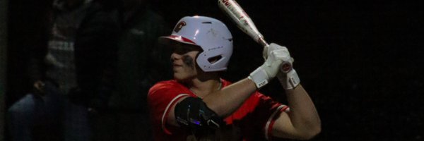 ian_cobbs Profile Banner