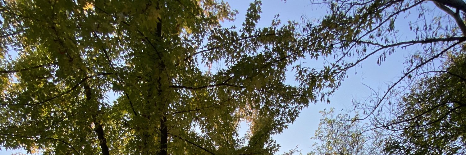 arlaz94's profile banner image