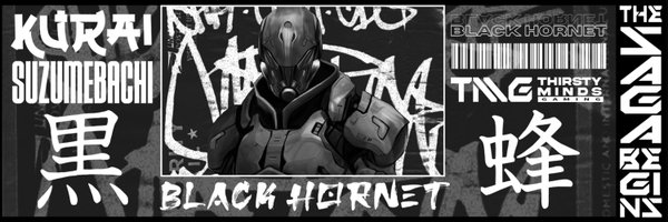 Black Hornet Profile Banner