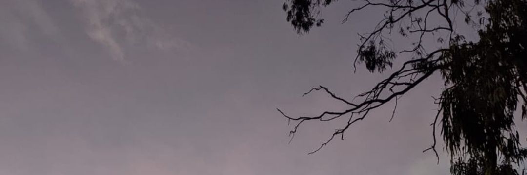 ashberry811's profile banner image