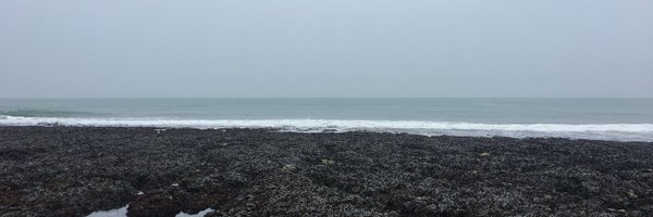 Edmanwrites Profile Banner