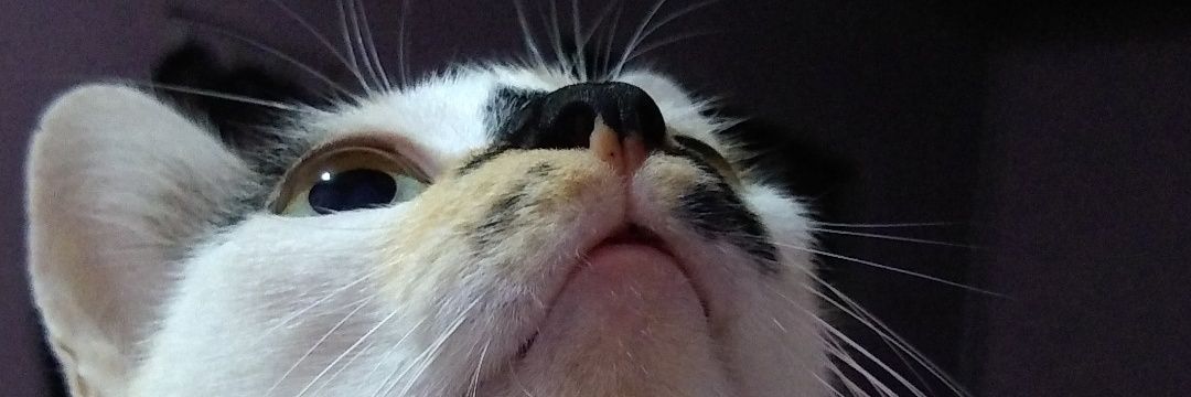 abmgodoi's profile banner image