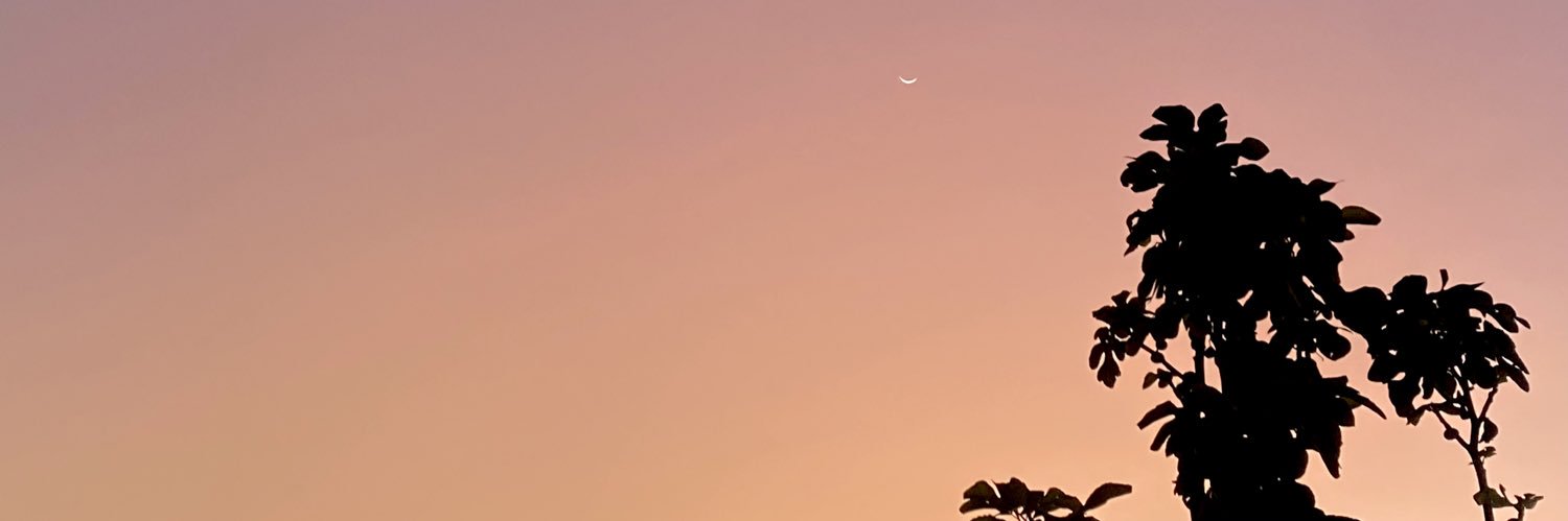 Michelleee6498's profile banner image