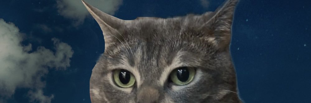 alesrevenge's profile banner image