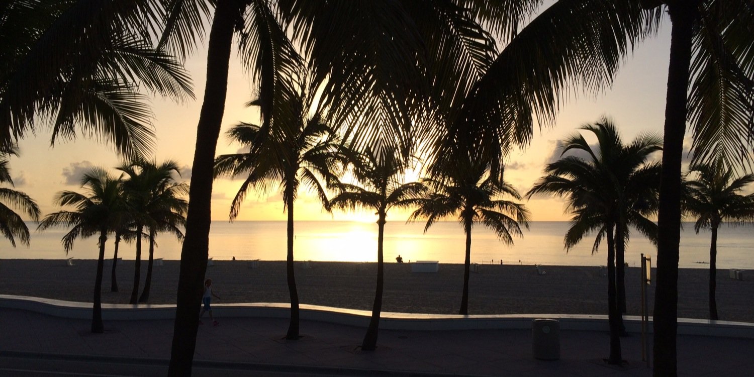 BJ ☀️ Beatriz banner