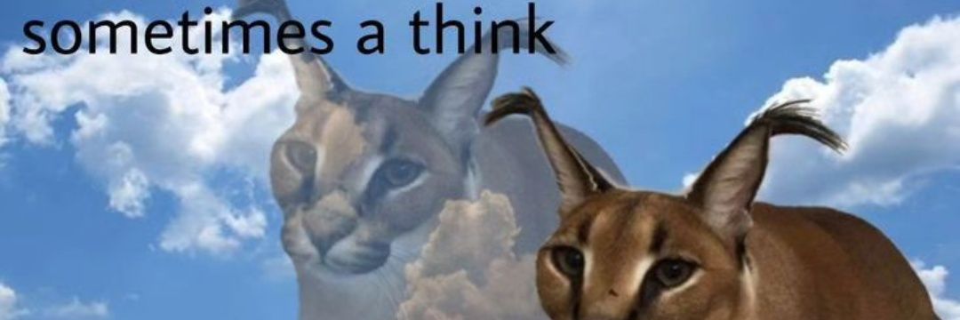mia (morgan freeman son)'s banner