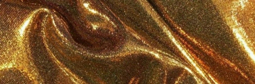 Hamsini 🦢's banner