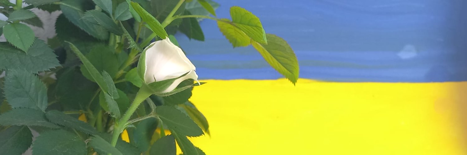 Ingmāra Balode banner